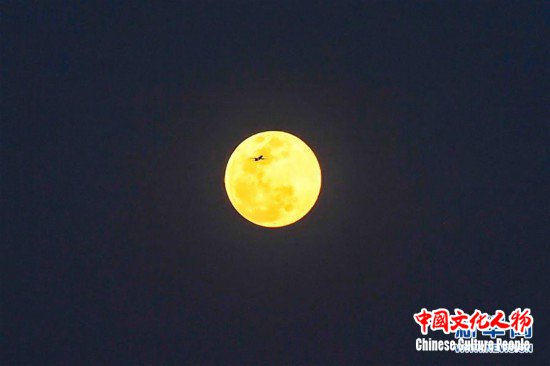 （社会）（5）“超级月亮”遇佳节 元宵满月更“圆满”