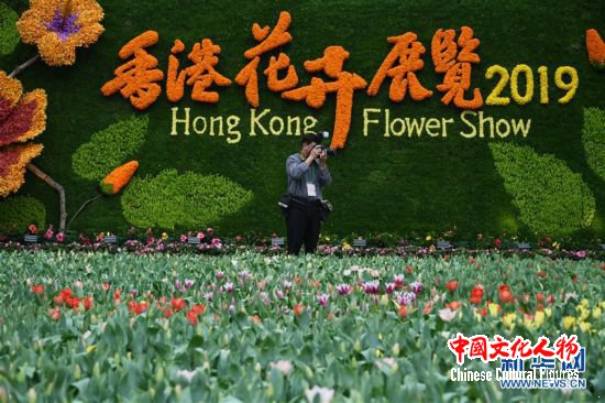 （社会）（1）2019年香港花卉展览即将揭幕